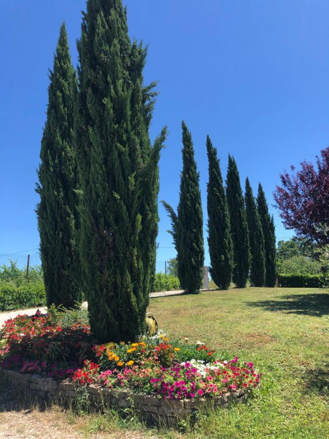 Il Gufo Del Chianti Montespertoli Exterior foto