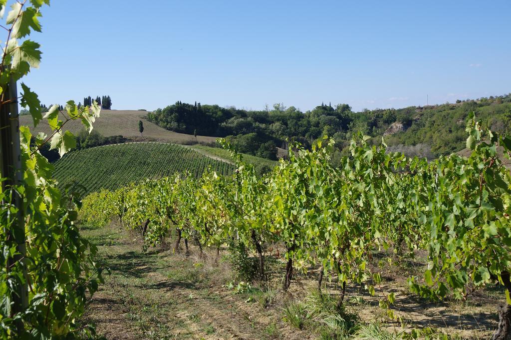 Il Gufo Del Chianti Montespertoli Exterior foto